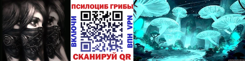 Купить где  Мглин  Галлюциногенные грибы мицелий 